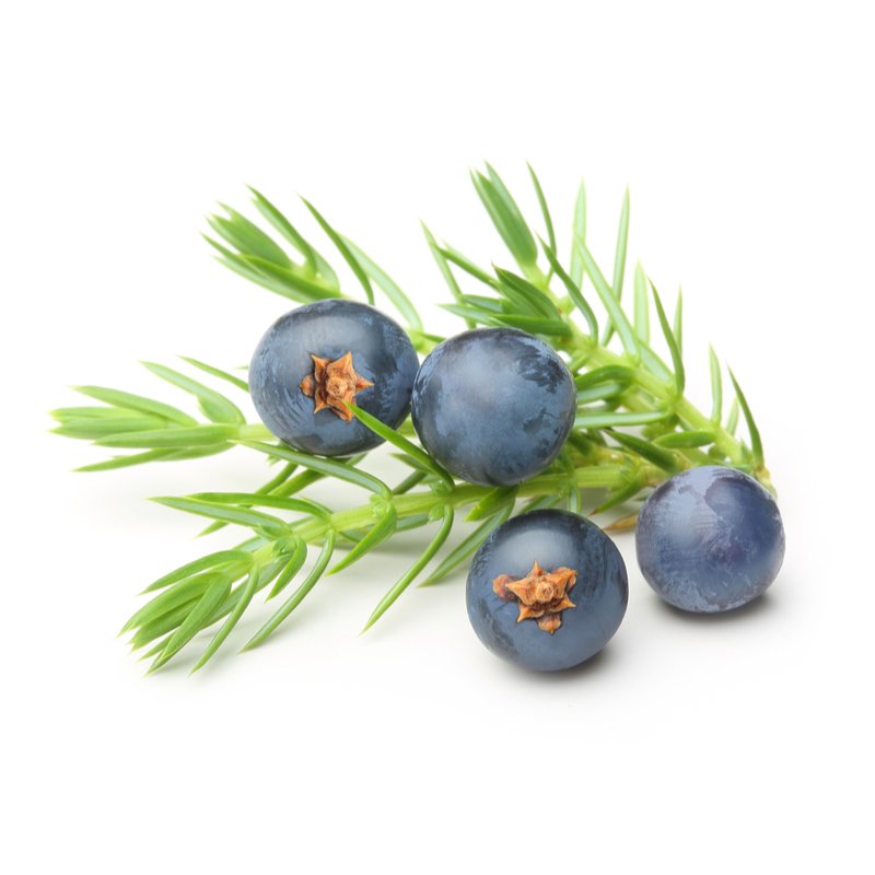 Juniper Berry Oil