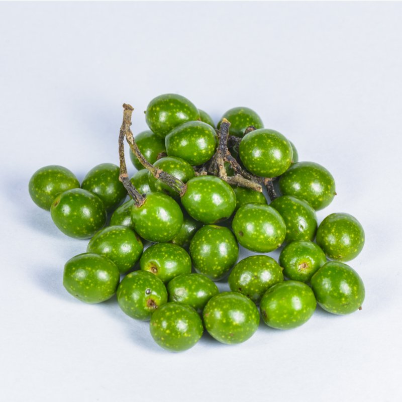 Wholesale Litsea Cubeba Oil (May Chang)