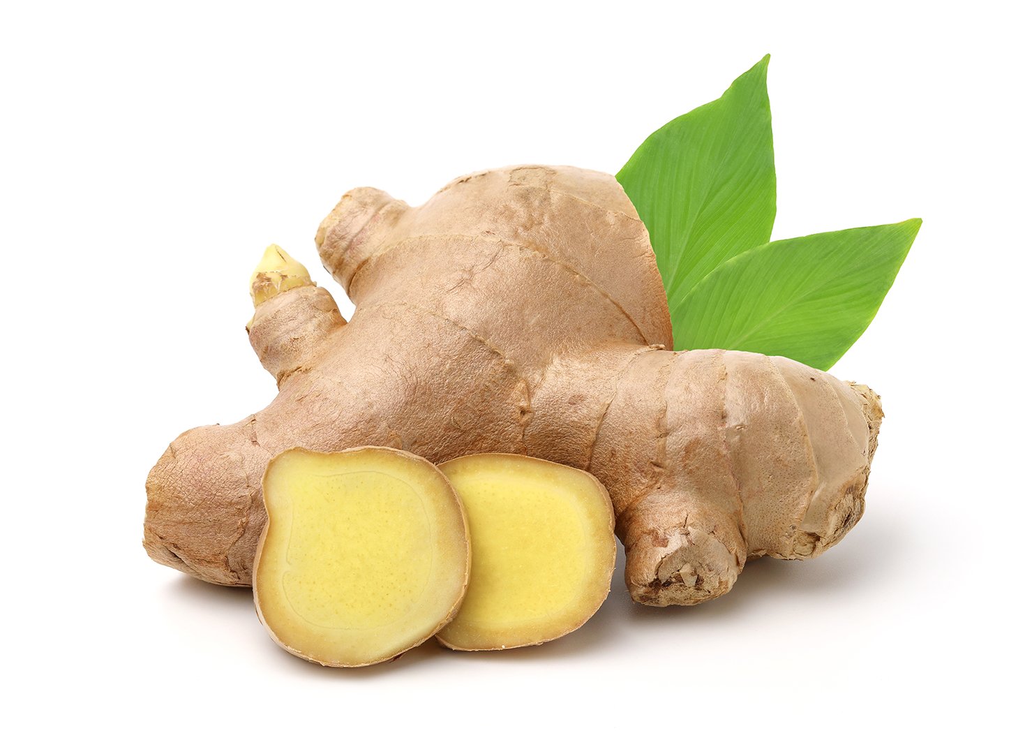 ginger Ginger