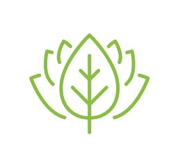 leaf1 Plant